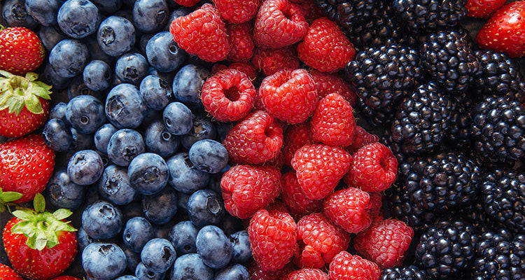 Eine Nahaufnahme von frischen Erdbeeren, Blaubeeren, Himbeeren und Brombeeren, die in Reihen angeordnet sind und ihre leuchtend roten, blauen und schwarzen Farben zur Geltung bringen.